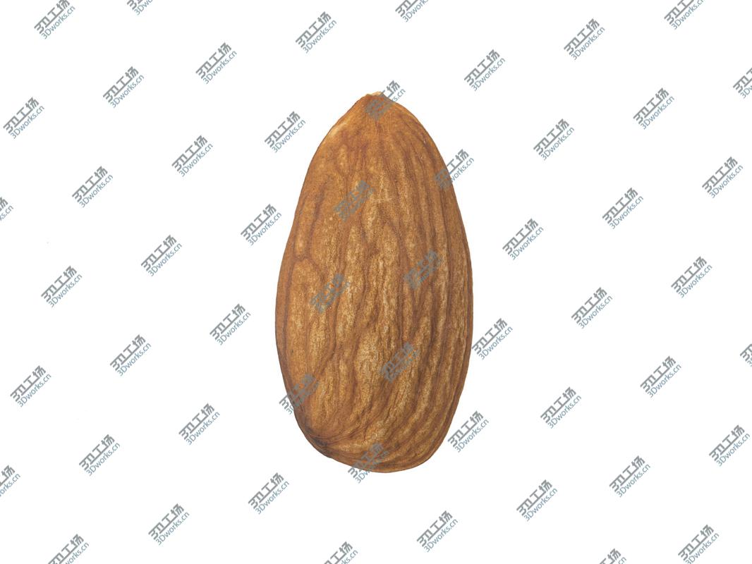 images/goods_img/2021040232/Highly Detailed Almond Scan 3D model/3.jpg